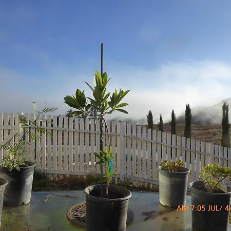 Mansion On The Hill Let 4 Rooms, 5Th Cost Extra Sage Bagian luar foto