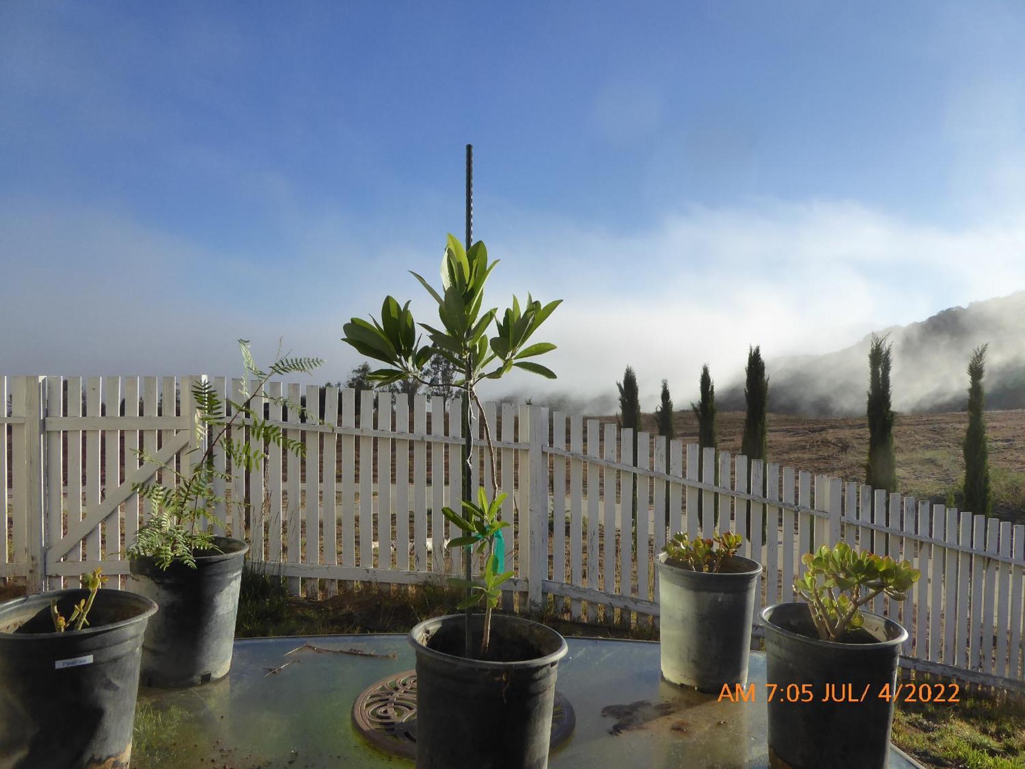 Mansion On The Hill Let 4 Rooms, 5Th Cost Extra Sage Bagian luar foto